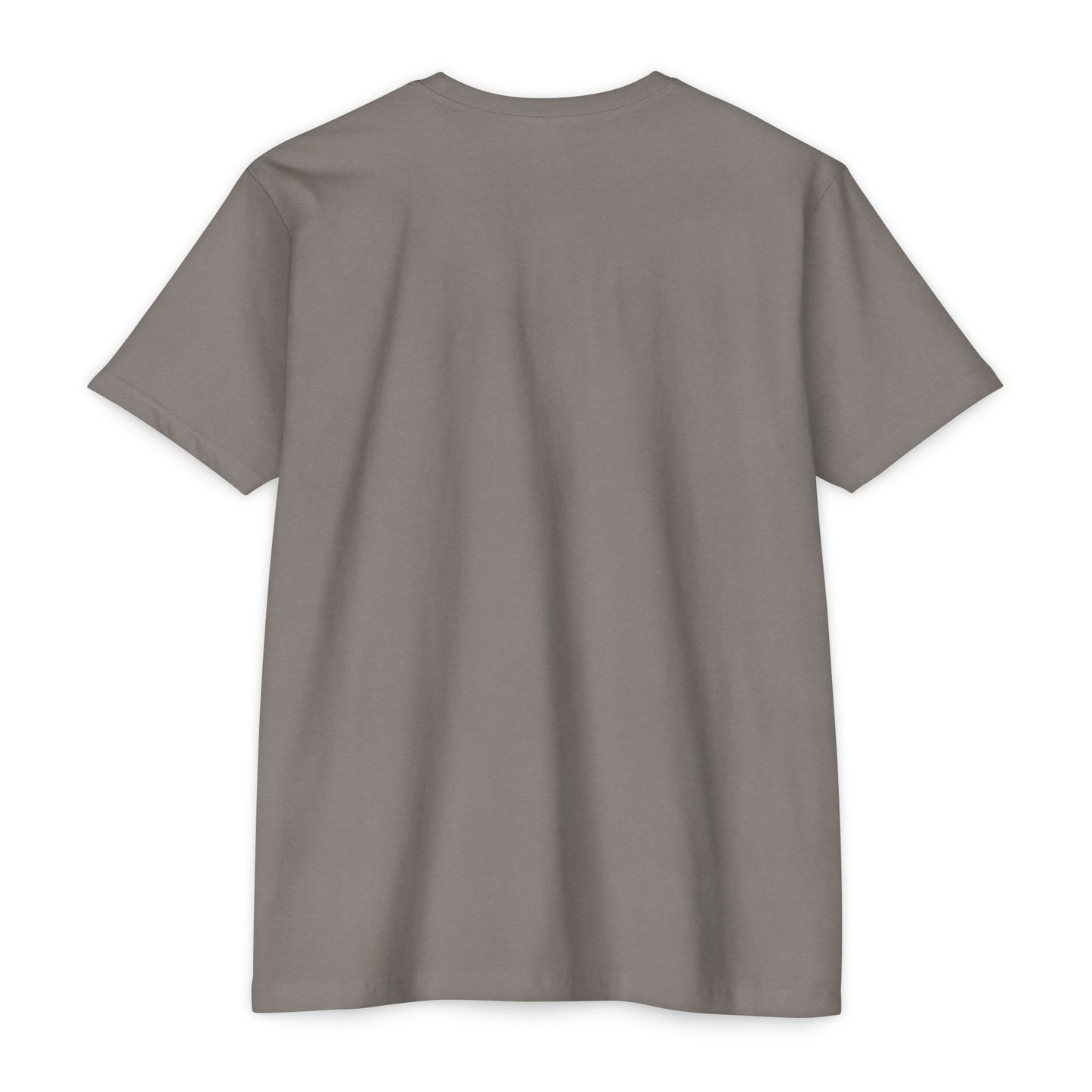 Christian Faith T-Shirt — "I Fight With This Not With These" Gospel Tee