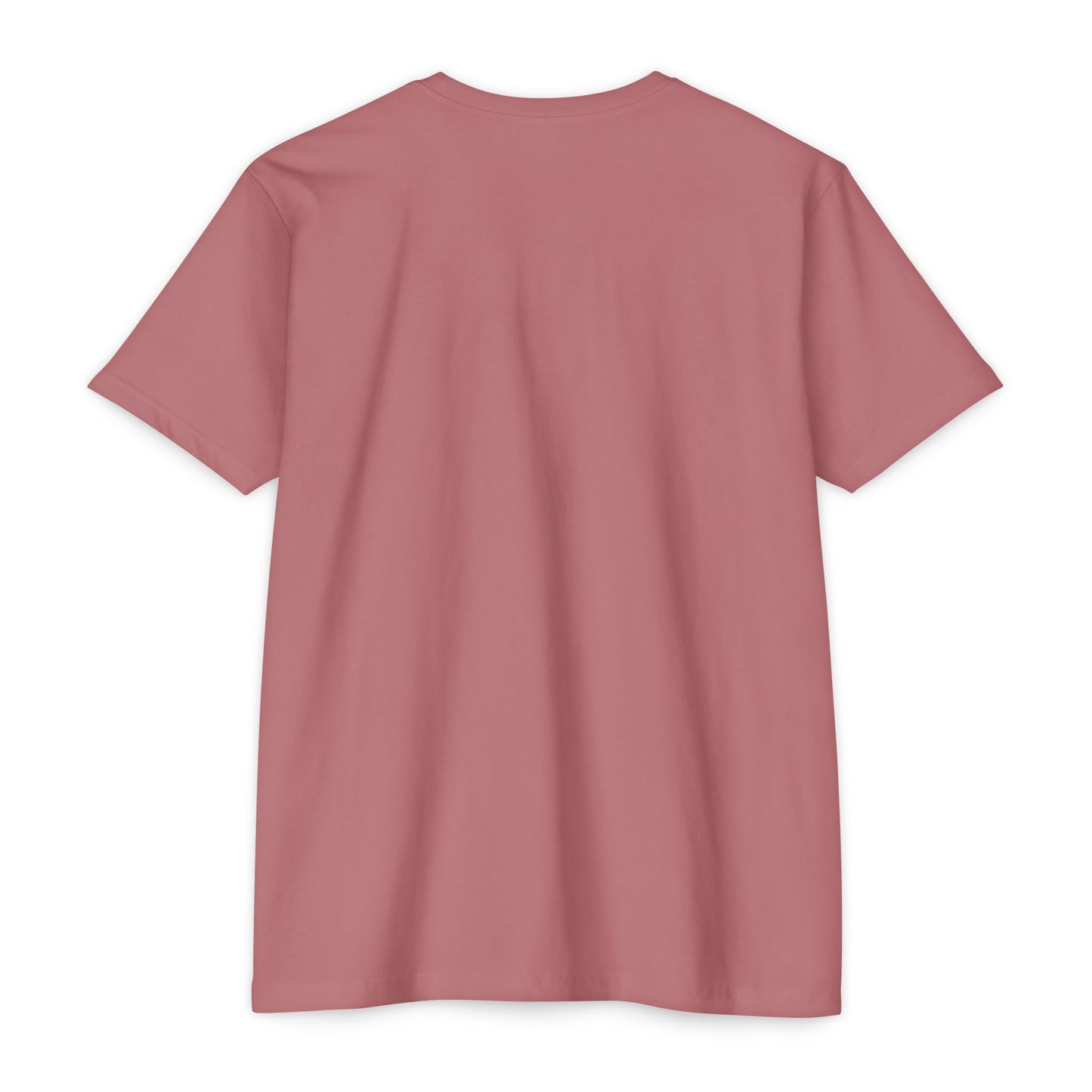 Christian Faith T-Shirt — "I Fight With This Not With These" Gospel Tee
