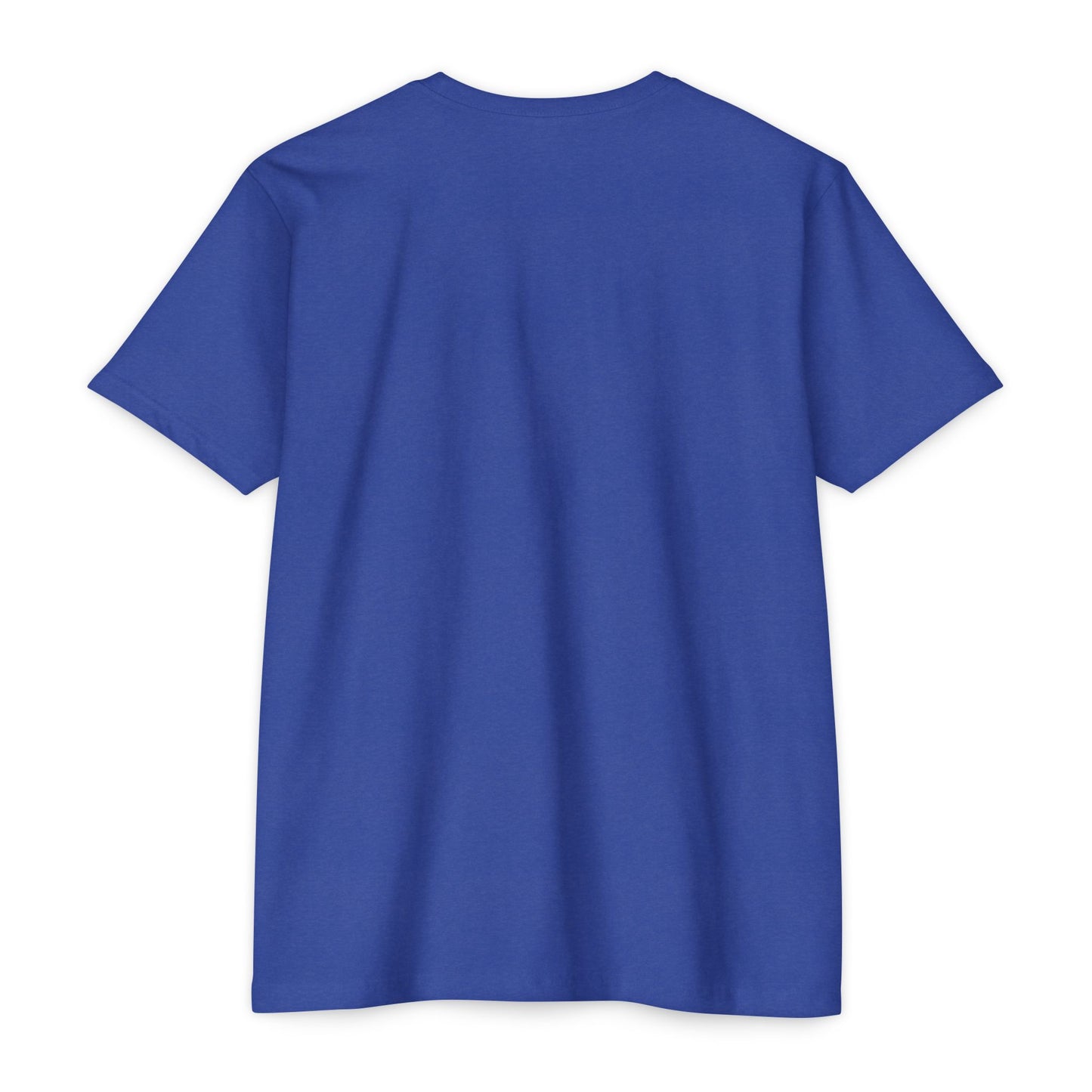 Christian Faith T-Shirt — "I Fight With This Not With These" Gospel Tee