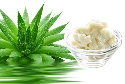 Aloe Butter 8oz Blue Jar